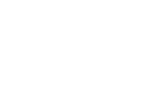 NOVO-Logo_Valec-Renault_BRANCO.png